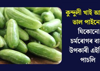 কুন্দুলী খাই আপুনি ভাল পায়নে? যিকোনো চৰ্মৰোগৰ বাবে উপকাৰী এইবিধ পাচলি