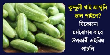 কুন্দুলী খাই আপুনি ভাল পায়নে? যিকোনো চৰ্মৰোগৰ বাবে উপকাৰী এইবিধ পাচলি