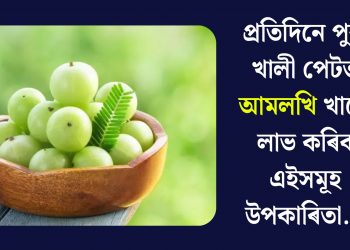 প্ৰতিদিনে পুৱা খালী পেটত আমলখি খালে লাভ কৰিব এইসমূহ উপকাৰিতা…