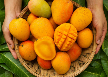 এতিয়া ‘ফলৰ ৰজা’ আমৰ বতৰ, দৈনিক এটাকৈ আম খালে লাভ কৰিব বহু সুফল! সবিশেষ…