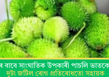 স্বাস্থ্যৰ বাবে সাংঘাতিক উপকাৰী পাচলি ভাতকেৰেলা; দুটা জটিল ৰোগ প্ৰতিৰোধতো সহায়ক