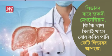 লিভাৰৰ বাবে জৰুৰী মেগনেছিয়াম, কি কি খাদ্য মিলাই খালে ৰোধ কৰিব পাৰি ফেটি লিভাৰৰ আশংকা