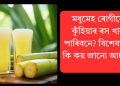 মধুমেহ ৰোগীয়ে কুঁহিয়াৰ ৰস খাব পাৰিবনে? বিশেষজ্ঞই কি কয় জানো আহক?