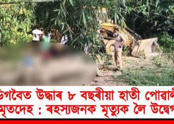 ডিগবৈত উদ্ধাৰ ৮ বছৰীয়া হাতী পোৱালীৰ মৃতদেহ : ৰহস্যজনক মৃত্যুক লৈ উদ্বেগ
