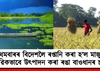 ভাল খবৰ : প্ৰথমবাৰৰ বিদেশলৈ ৰপ্তানি কৰা হ’ল মাজুলীত জৈৱিকভাবে উৎপাদন কৰা ৰঙা বাওধানৰ চাউল