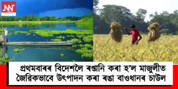 ভাল খবৰ : প্ৰথমবাৰৰ বিদেশলৈ ৰপ্তানি কৰা হ’ল মাজুলীত জৈৱিকভাবে উৎপাদন কৰা ৰঙা বাওধানৰ চাউল
