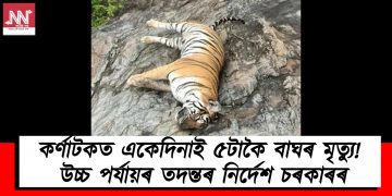 কৰ্ণাটকত একেদিনাই ৫টাকৈ বাঘৰ মৃত্যু! উচ্চ পৰ্যায়ৰ তদন্তৰ নিৰ্দেশ চৰকাৰৰ