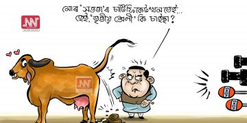 অঘৈয়া হুলঃ নিতুপৰ্ণ ৰাজবংশীৰ কাৰ্টুন