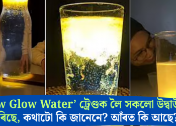 ‘Yellow Glow Water’ ট্ৰেণ্ডক লৈ সকলো উদ্বাউল হৈ পৰিছে, কথাটো কি জানেনে? আঁৰত কি আছে?