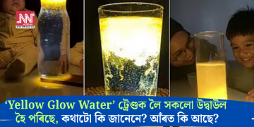 ‘Yellow Glow Water’ ট্ৰেণ্ডক লৈ সকলো উদ্বাউল হৈ পৰিছে, কথাটো কি জানেনে? আঁৰত কি আছে?