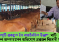 গৰুখুটি প্ৰকল্পক লৈ ৰাজনৈতিক উত্তাপ; মাটি আৰু গৰুৰ অপব্যৱহাৰৰ অভিযোগ প্ৰব্ৰজন বিৰোধী মঞ্চৰ
