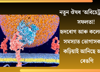 নতুন ঔষধ ‘অবিচেট্ৰাপিব’ৰ সফলতা! হৃদৰোগ আৰু কলেষ্টেৰলৰ সমস্যাত ভোগাসকললৈ কঢ়িয়াই আনিছে আশাৰ ৰেঙণি