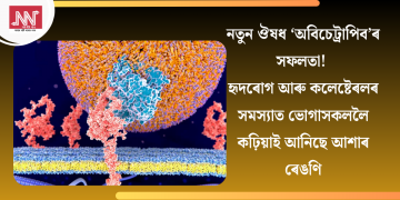 নতুন ঔষধ ‘অবিচেট্ৰাপিব’ৰ সফলতা! হৃদৰোগ আৰু কলেষ্টেৰলৰ সমস্যাত ভোগাসকললৈ কঢ়িয়াই আনিছে আশাৰ ৰেঙণি