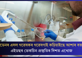 ছুইডেনৰ এদল গৱেষকৰ গৱেষণাই কঢ়িয়াইছে আশাৰ বতৰা! এইডছৰ ভেকচিন প্ৰস্তুতিৰ দিশত এখোজ