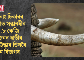 চোৰাং চিকাৰৰ ঘটনাত সন্ধানহীন ১.৮ কেজি ওজনৰ হাতীৰ দাঁত উদ্ধাৰ ডিগবৈ বন বিভাগৰ