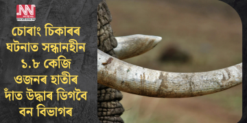 চোৰাং চিকাৰৰ ঘটনাত সন্ধানহীন ১.৮ কেজি ওজনৰ হাতীৰ দাঁত উদ্ধাৰ ডিগবৈ বন বিভাগৰ