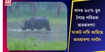 বানত ৬০% ডুব গৈছে পবিতৰা অভয়াৰণ্য! সংকট নামি আহিছে অভয়াৰণ্য খনলৈ