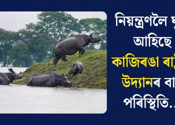 নিয়ন্ত্ৰণলৈ ঘূৰি আহিছে কাজিৰঙা ৰাষ্ট্ৰীয় উদ্যানৰ বান পৰিস্থিতি…