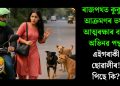 ৰাজপথত কুকুৰৰ আক্ৰমণৰ ভয়ত আত্মৰক্ষাৰ বাবে অভিনৱ পন্থা এইগৰাকী ছোৱালীৰ! পিছে কি?