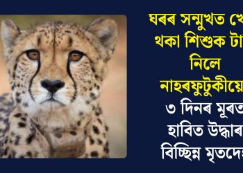 ঘৰৰ সন্মুখত খেলি থকা শিশুক টানি নিলে নাহৰফুটুকীয়েঃ ৩ দিনৰ মূৰত হাবিত উদ্ধাৰ বিচ্ছিন্ন মৃতদেহ