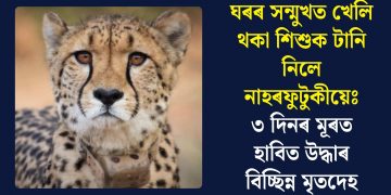 ঘৰৰ সন্মুখত খেলি থকা শিশুক টানি নিলে নাহৰফুটুকীয়েঃ ৩ দিনৰ মূৰত হাবিত উদ্ধাৰ বিচ্ছিন্ন মৃতদেহ
