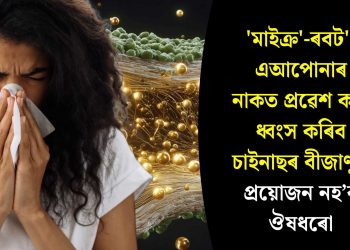 ‘মাইক্ৰ’-ৰবট’-এআপোনাৰ নাকত প্ৰৱেশ কৰি ধ্বংস কৰিব চাইনাছৰ বীজাণু! প্ৰয়োজন নহ’ব ঔষধৰো