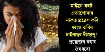 ‘মাইক্ৰ’-ৰবট’-এআপোনাৰ নাকত প্ৰৱেশ কৰি ধ্বংস কৰিব চাইনাছৰ বীজাণু! প্ৰয়োজন নহ’ব ঔষধৰো