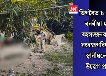ডিগবৈত ৮ বছৰীয়া বনৰীয়া হাতীৰ ৰহস্যজনক মৃত্যু: সংৰক্ষণবিদ আৰু স্থানীয়লোকৰ উদ্বেগ প্ৰকাশ