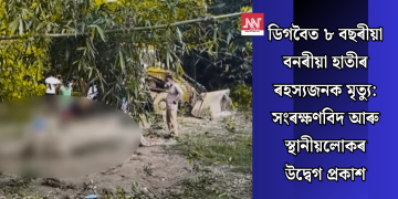 ডিগবৈত ৮ বছৰীয়া বনৰীয়া হাতীৰ ৰহস্যজনক মৃত্যু: সংৰক্ষণবিদ আৰু স্থানীয়লোকৰ উদ্বেগ প্ৰকাশ