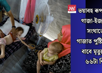 ভয়াবহ ৰূপ লৈছে গাজা-ইজৰাইল সংঘাতে! গাজাত পুষ্টিহীনতাৰ বাবে মৃত্যু প্ৰায় ৬৬টা শিশু
