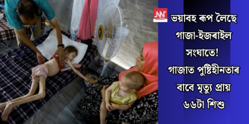 ভয়াবহ ৰূপ লৈছে গাজা-ইজৰাইল সংঘাতে! গাজাত পুষ্টিহীনতাৰ বাবে মৃত্যু প্ৰায় ৬৬টা শিশু