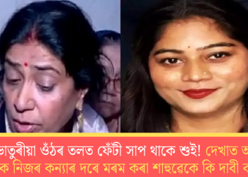 কোৱাভাতুৰীয়া ওঁঠৰ তলত ফেঁটী সাপ থাকে শুই! দেখাত অমায়িক সোণমক নিজৰ কন্যাৰ দৰে মৰম কৰা শাহুৱেকে কি দাবী কৰিলে?
