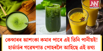 কেন্সাৰৰ আশংকা কমাব পাৰে এই তিনি পানীয়ই! হাৰ্ভাৰ্ডৰ গৱেষণাত পোহৰলৈ আহিছে এই তথ্য