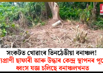 সংকটত খোৱাংৰ তিনঠেঙীয়া বনাঞ্চল! বন্যপ্ৰাণী ছাফাৰী আৰু উদ্ধাৰ কেন্দ্ৰ স্থাপনৰ পূৰ্বেই ধ্বংস যজ্ঞ চলিছে বনাঞ্চলখনত