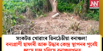 সংকটত খোৱাংৰ তিনঠেঙীয়া বনাঞ্চল! বন্যপ্ৰাণী ছাফাৰী আৰু উদ্ধাৰ কেন্দ্ৰ স্থাপনৰ পূৰ্বেই ধ্বংস যজ্ঞ চলিছে বনাঞ্চলখনত