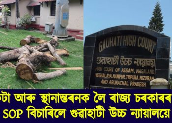 গছ কটা আৰু স্থানান্তৰনক লৈ ৰাজ্য চৰকাৰৰ পৰা SOP বিচাৰিলে গুৱাহাটী উচ্চ ন্যায়ালয়ে