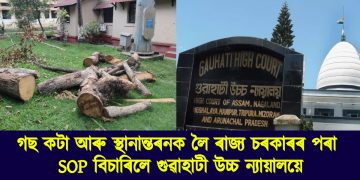 গছ কটা আৰু স্থানান্তৰনক লৈ ৰাজ্য চৰকাৰৰ পৰা SOP বিচাৰিলে গুৱাহাটী উচ্চ ন্যায়ালয়ে