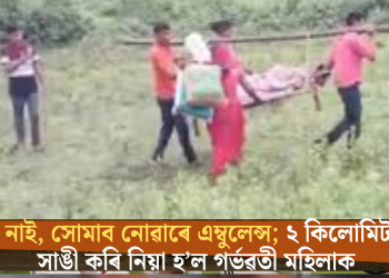সবকা সাথ সবকা বিকাশ! ৰাস্তাই নাই, সোমাব নোৱাৰে এম্বুলেন্স; ২ কিলোমিটাৰ পথ সাঙী কৰি নিয়া হ’ল গৰ্ভৱতী মহিলাক
