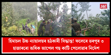 হিমাচল উচ্চ ন্যায়ালয়ৰ হঠকাৰী সিদ্ধান্ত! ফলেৰে ভৰপূৰ ৩ হাজাৰৰো অধিক আপেল গছ কাটি পেলোৱাৰ নিৰ্দেশ