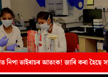 কেৰালাত নিপা ভাইৰাচৰ আতংক! জাৰি কৰা হৈছে সতৰ্কবাণী