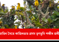 ৪৩টা প্ৰজাতিৰ সৈতে কাজিৰঙাত প্ৰথম তৃণভূমি পক্ষীৰ জৰীপ সম্পন্ন