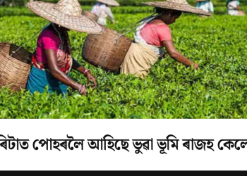 মাৰ্ঘেৰিটাত পোহৰলৈ আহিছে ভুৱা ভূমি ৰাজহ কেলেংকাৰী