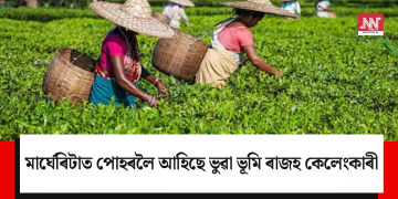 মাৰ্ঘেৰিটাত পোহৰলৈ আহিছে ভুৱা ভূমি ৰাজহ কেলেংকাৰী