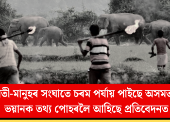 হাতী-মানুহৰ সংঘাতে চৰম পৰ্যায় পাইছে অসমত! ভয়ানক তথ্য পোহৰলৈ আহিছে প্ৰতিবেদনত