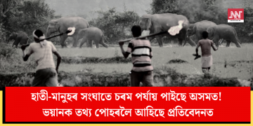 হাতী-মানুহৰ সংঘাতে চৰম পৰ্যায় পাইছে অসমত! ভয়ানক তথ্য পোহৰলৈ আহিছে প্ৰতিবেদনত