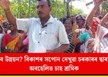 কাৰ বাবে উন্নয়ন? বিকাশৰ সপোন দেখুৱা চৰকাৰৰ দ্বাৰা আজিও অবহেলিত চাহ শ্ৰমিক  