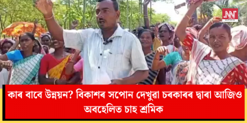 কাৰ বাবে উন্নয়ন? বিকাশৰ সপোন দেখুৱা চৰকাৰৰ দ্বাৰা আজিও অবহেলিত চাহ শ্ৰমিক  