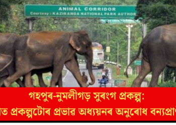 গহপুৰ-নুমলীগড় সুৰংগ প্ৰকল্প: পৰিৱেশত প্ৰকল্পটোৰ প্ৰভাৱ অধ্যয়নৰ অনুৰোধ বন্যপ্ৰাণী ব’ৰ্ডৰ