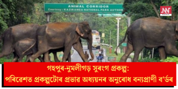 গহপুৰ-নুমলীগড় সুৰংগ প্ৰকল্প: পৰিৱেশত প্ৰকল্পটোৰ প্ৰভাৱ অধ্যয়নৰ অনুৰোধ বন্যপ্ৰাণী ব’ৰ্ডৰ