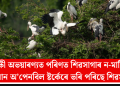পক্ষী অভয়াৰণ্যত পৰিণত শিৱসাগাৰ ন-মাটি: এছিয়ান অ’পেনবিল ষ্টৰ্কেৰে ভৰি পৰিছে শিৱসাগৰ